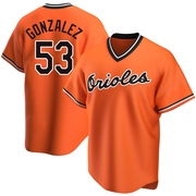 Luis Gonzalez Youth Baltimore Orioles Alternate Cooperstown Collection Jersey - Orange Replica